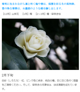 画像参照：http://hotel-chinzanso-tokyo.jp/garden/seasons.html