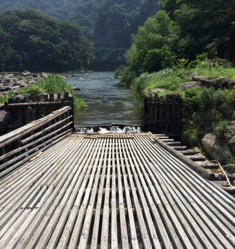 【食】夏の風物詩、鮎料理を利根川でたのしみました。
